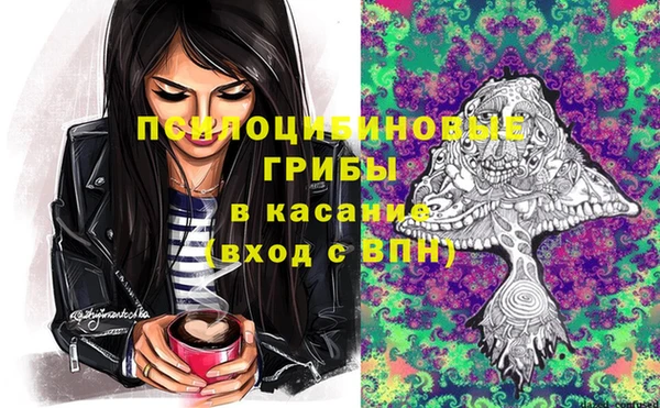 бошки Балахна