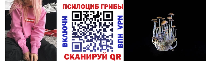Купить Бокситогорск Галлюциногенные грибы мухоморы